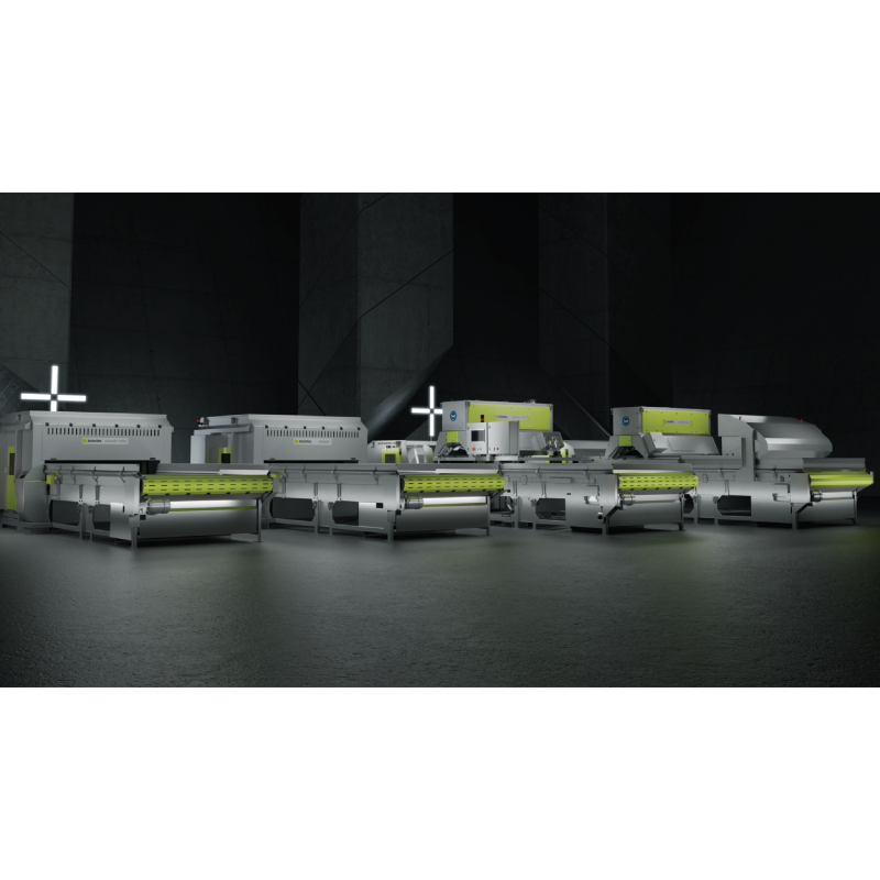 Sorting Systems with Conveyor Belt sesotec-belt-sorting-systems